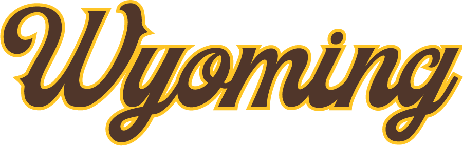 Wyoming Cowboys 2022-Pres Wordmark Logo v2 diy iron on heat transfer